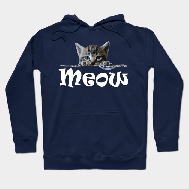 Cute Cats Kittens Meow Hoodie by PlanetMonkey